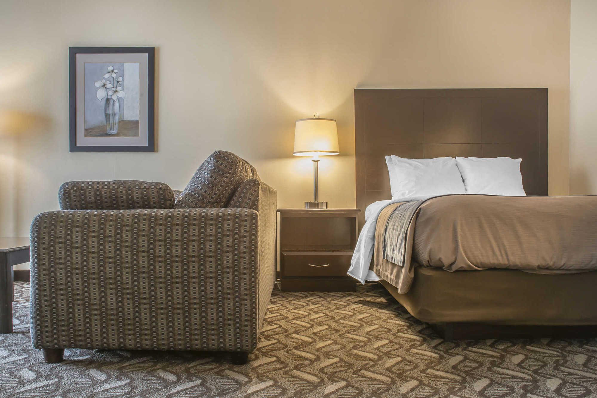 Comfort Inn & Suites Ambassador Bridge Windsor Chambre photo